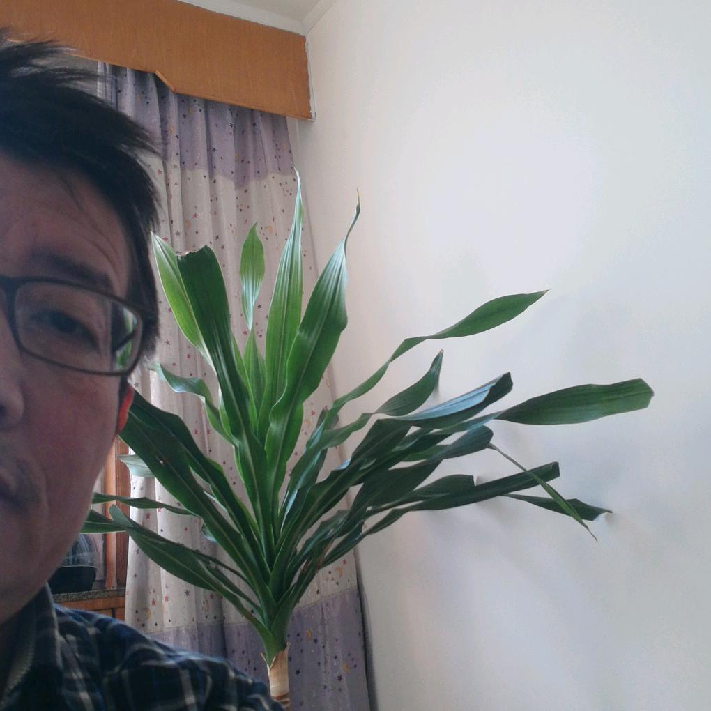 叁哥！王成辉又名王老三