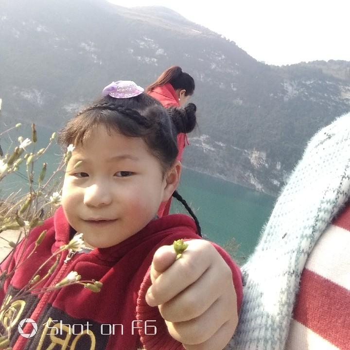 喜乐的心
