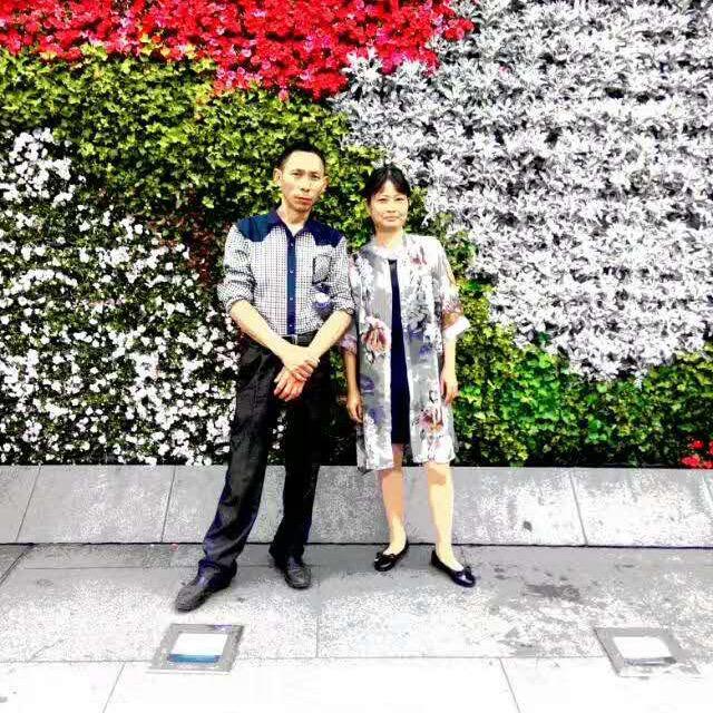 丹菊