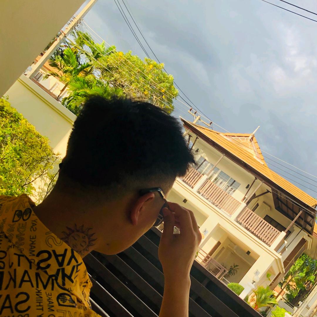 不吃芹菜的八哥丶