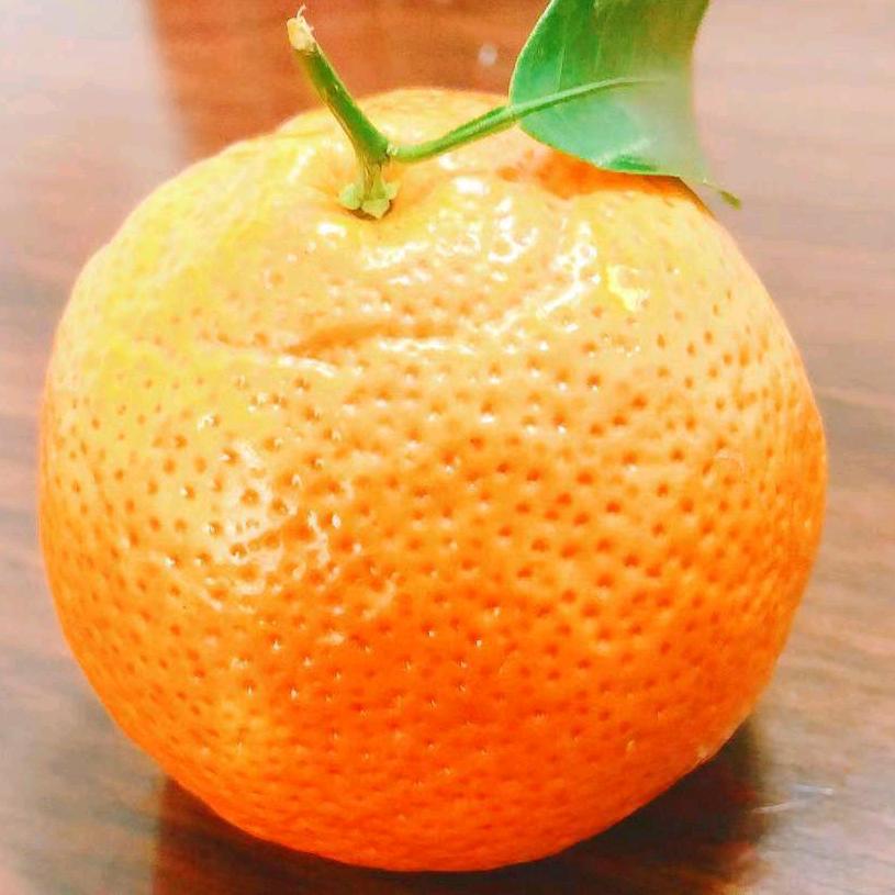 陈喽三