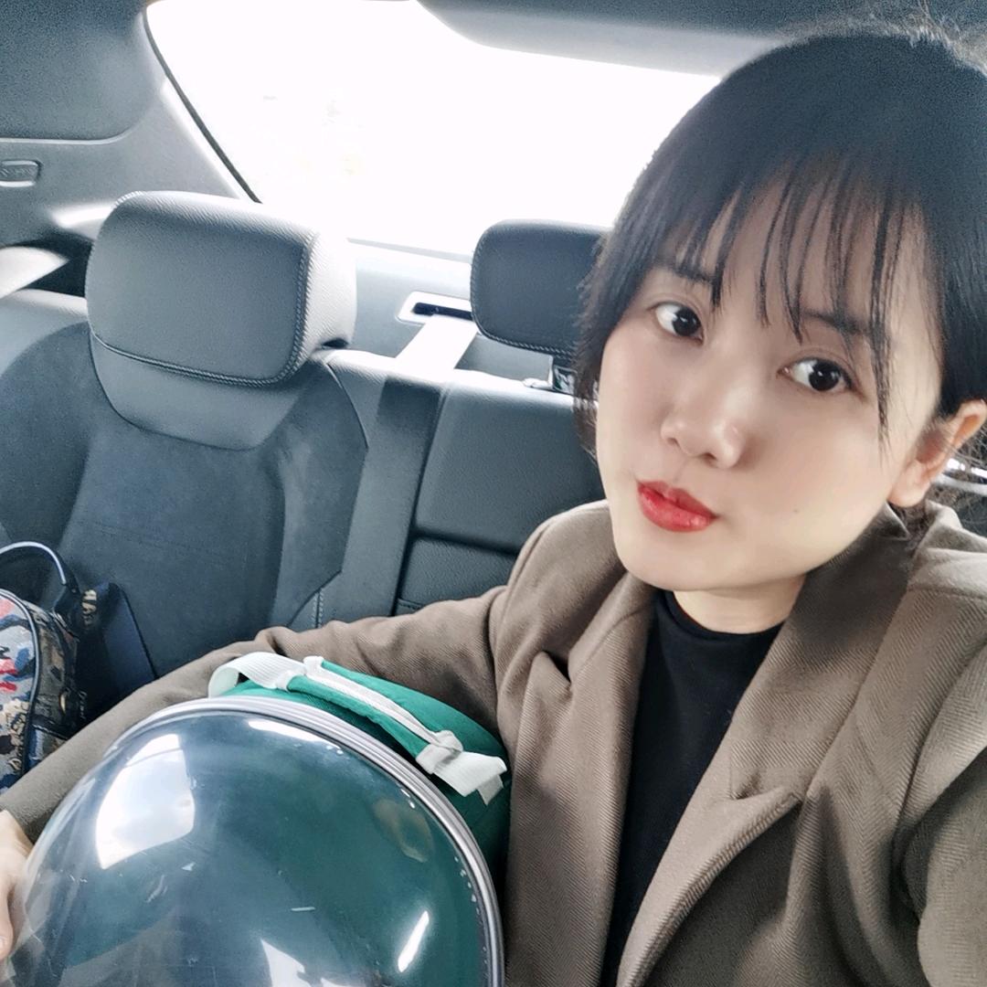 海青姑娘