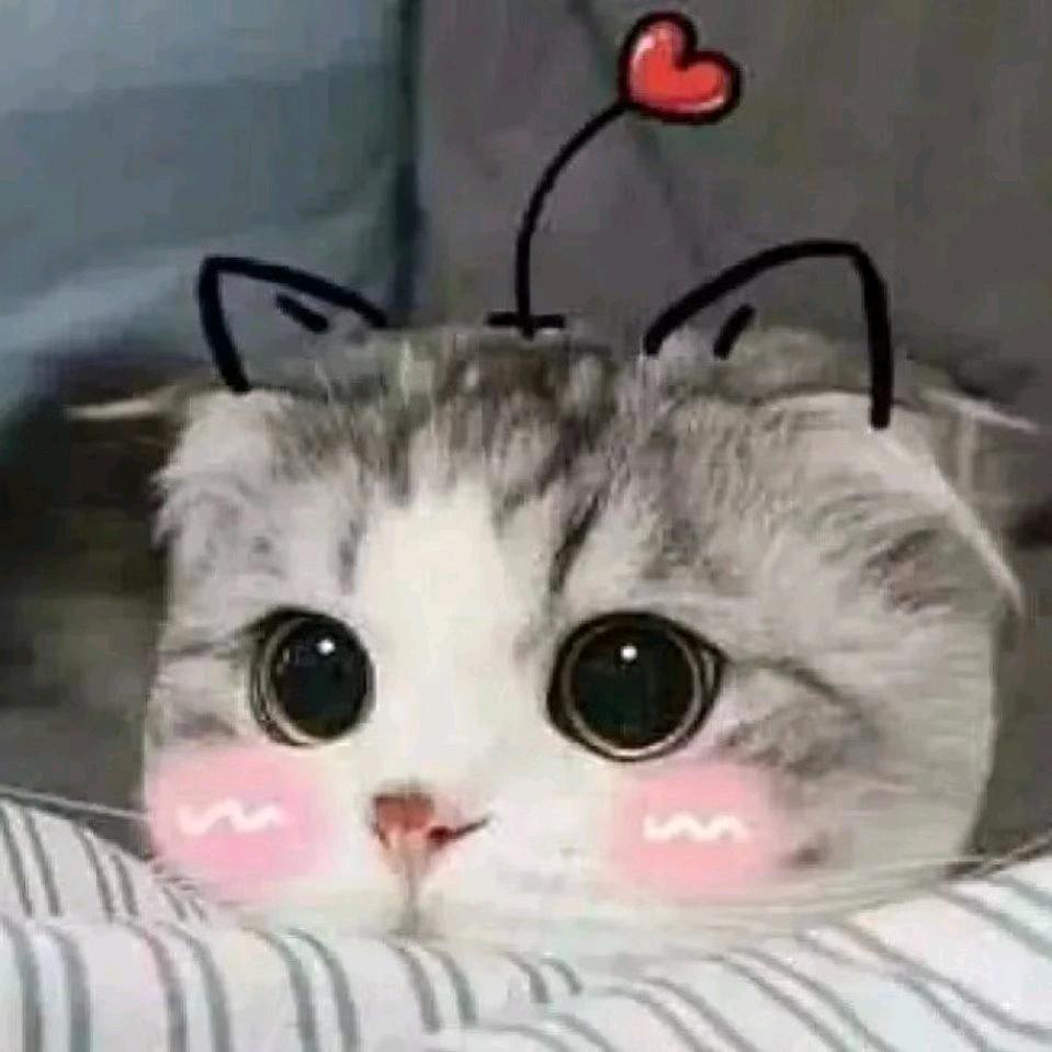 胡涂涂😍