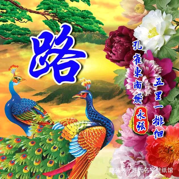 路村长来代言