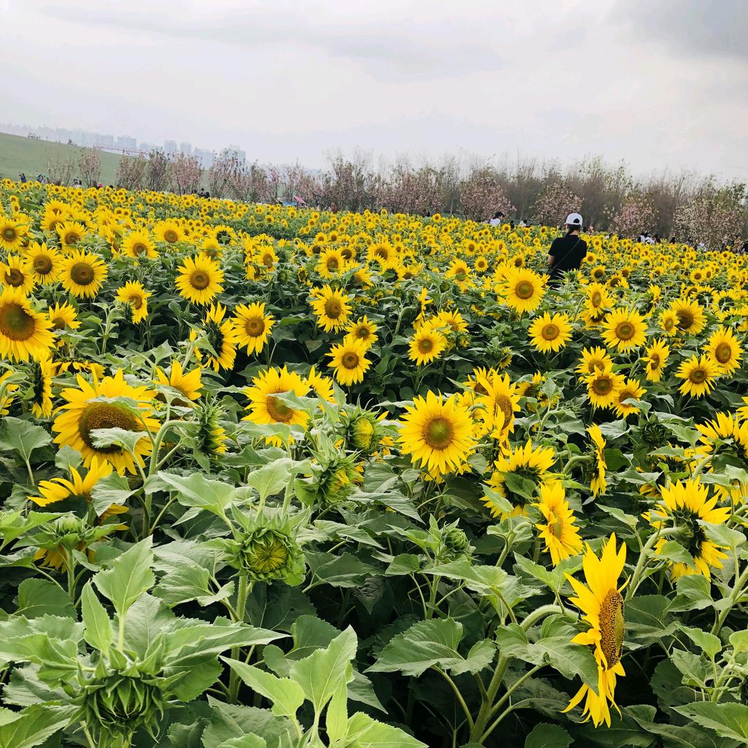 懂你的人最温暖