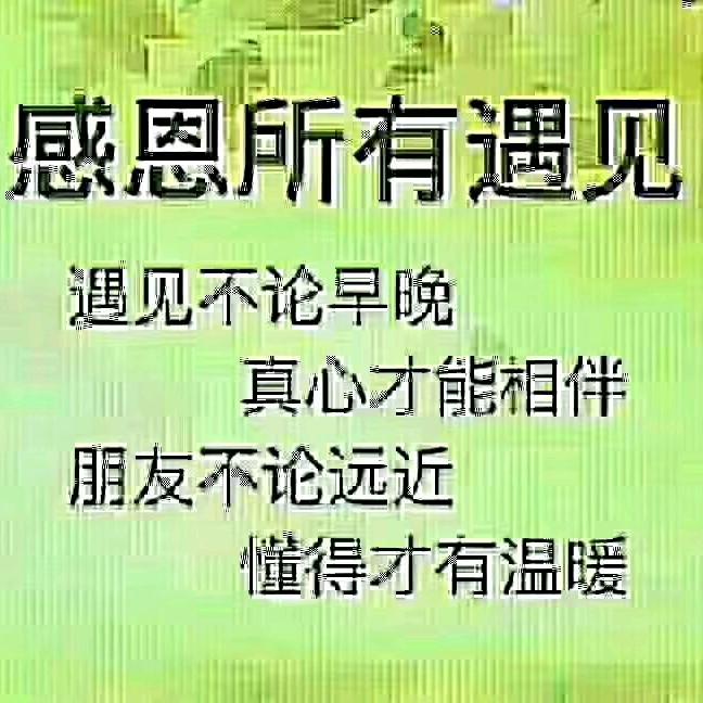 诚信刮墙
