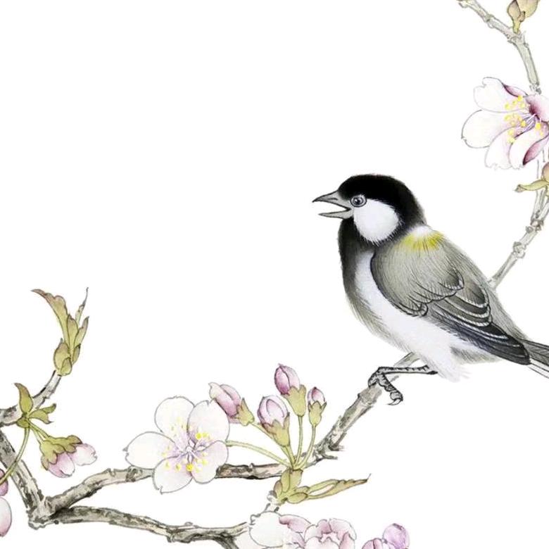 石洁