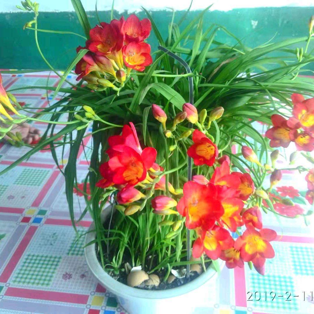 幸福，快乐人生