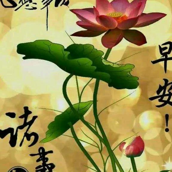 缘