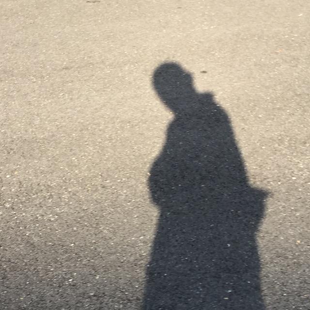 归去来兮
