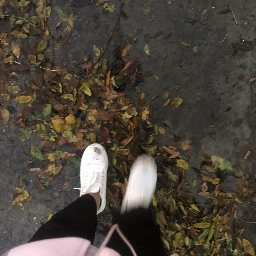 不是棠