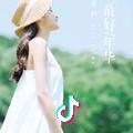 会飞的鸽子