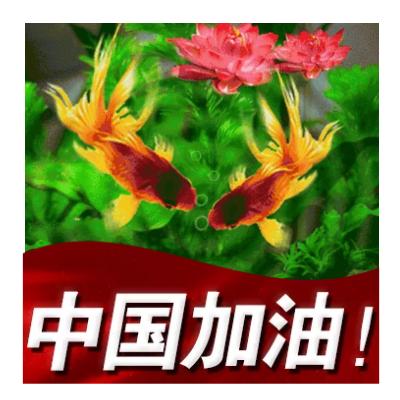 艳🌞姐💅