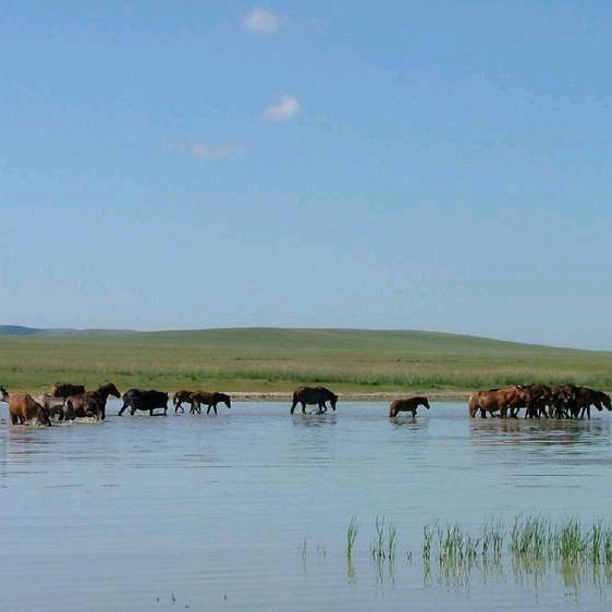 ღꕥ᭄ꦿ梦渐醒এ᭄এ