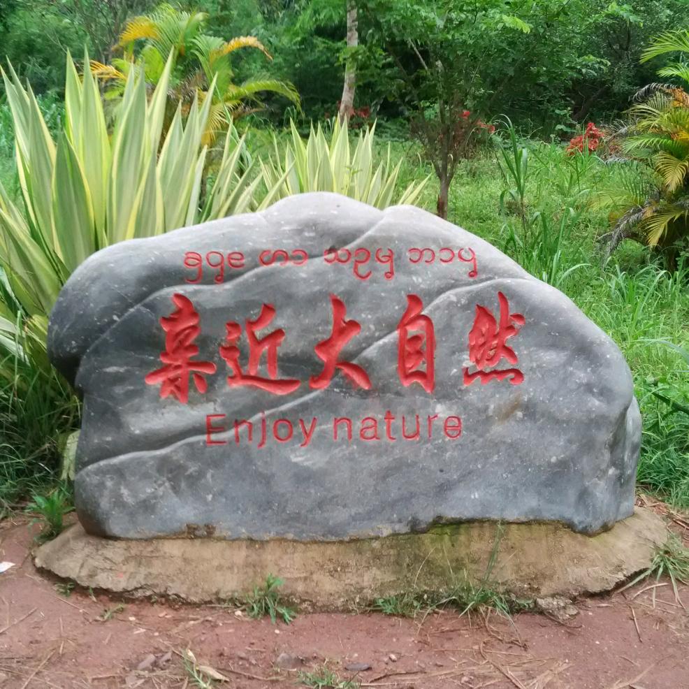 寻梦