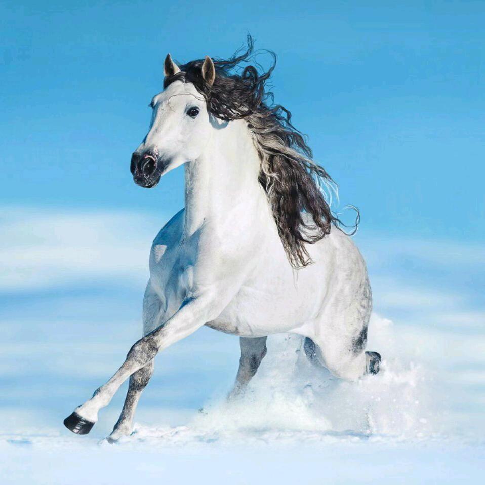 蹉跎岁月，一切随缘。慢慢释怀！