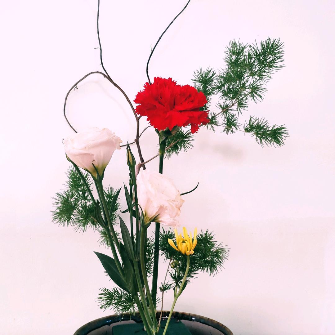 摩羯座的奇异果