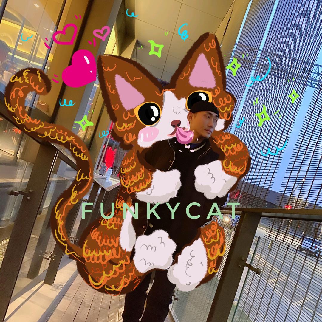 Funkycat酱