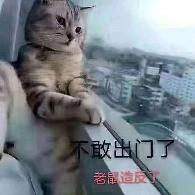 326666802阿蒙