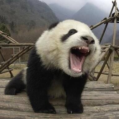 恕己