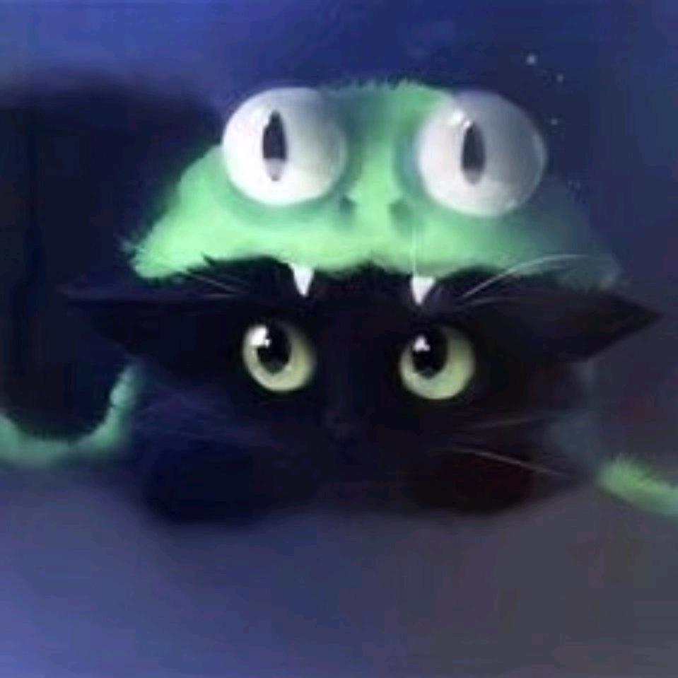 懒惰的猫23333