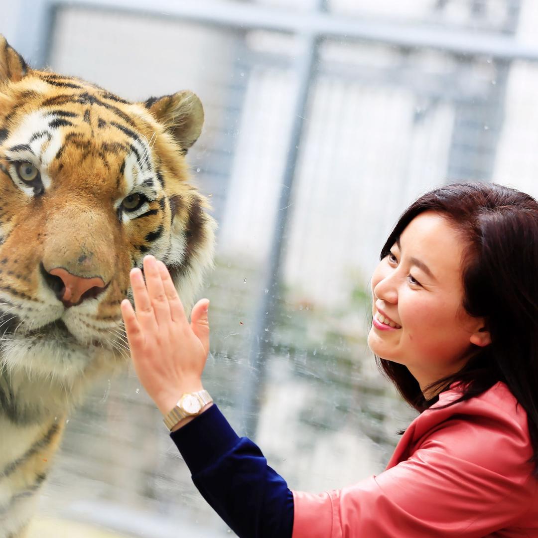 鼎强正康·酒储堂