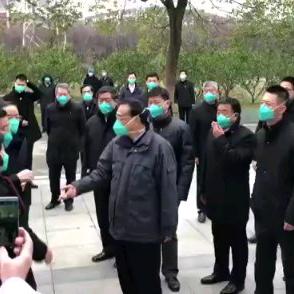 春暖花开赏樱花