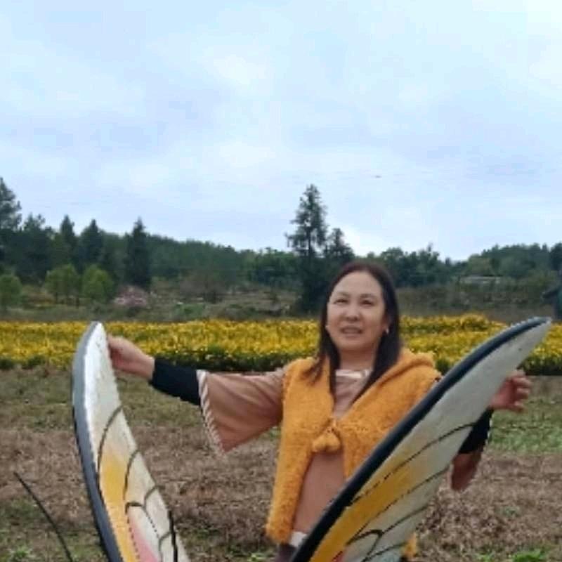 飘渺人生