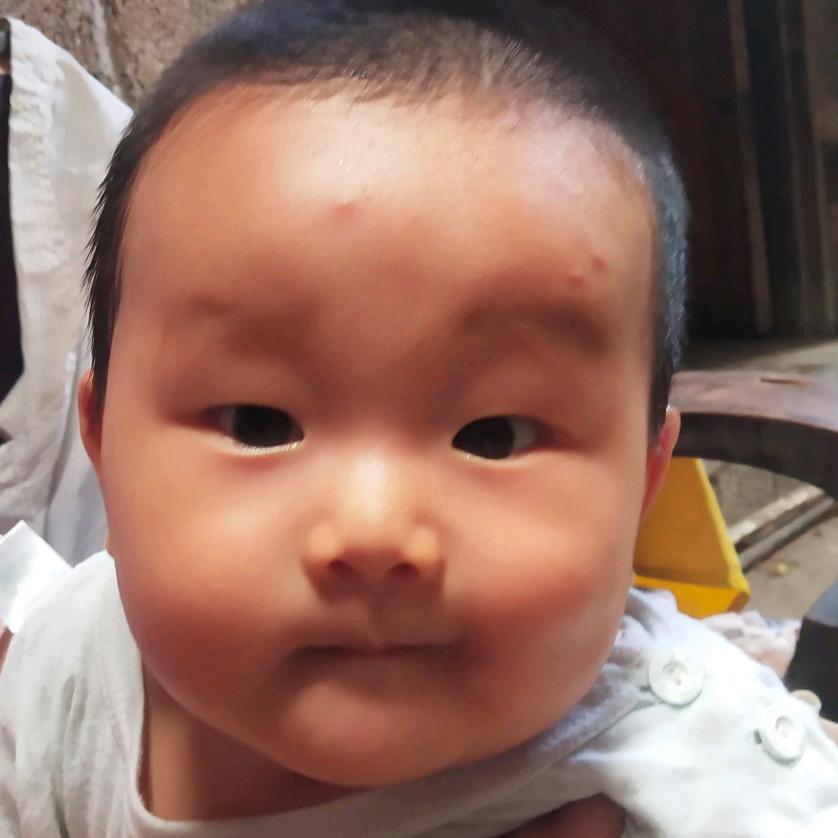 专业打墙地板各种改装