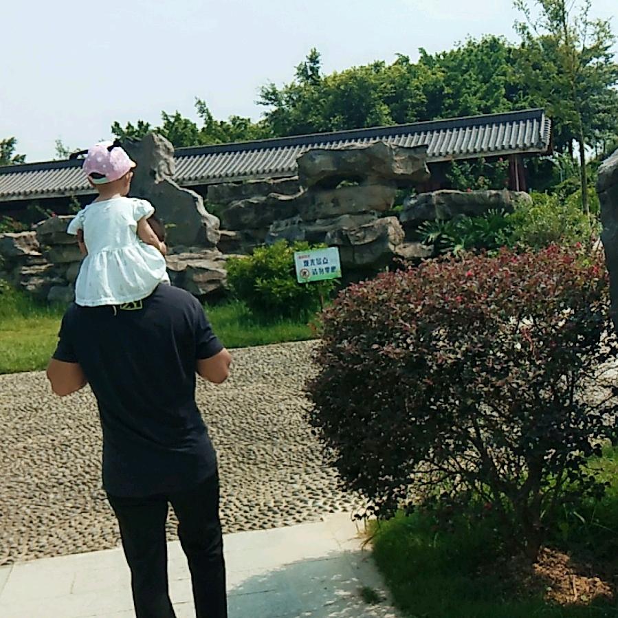 小燕子&林
