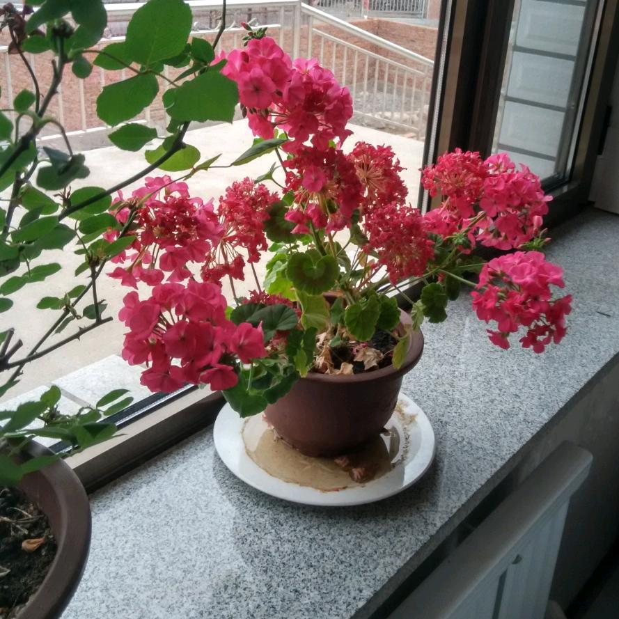 无尽