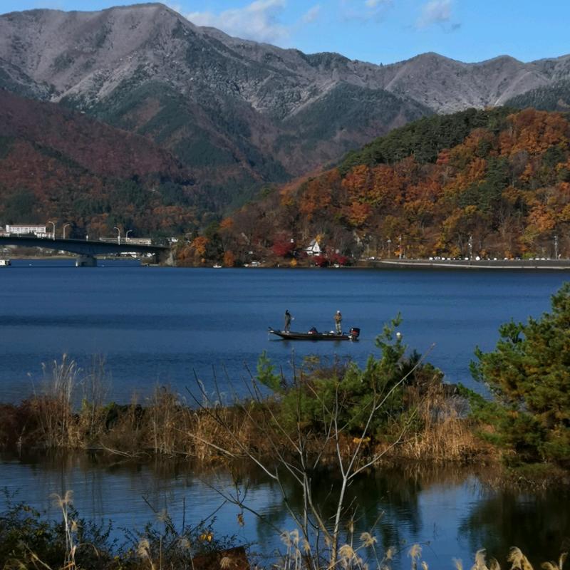 锋