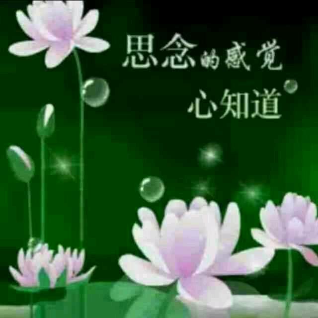 韩好有你