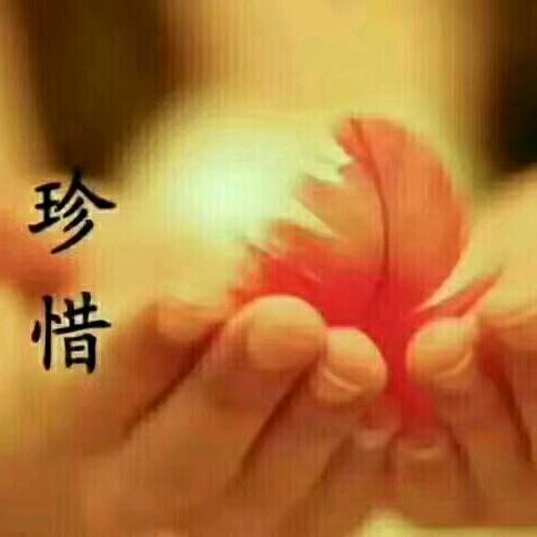 二师姐