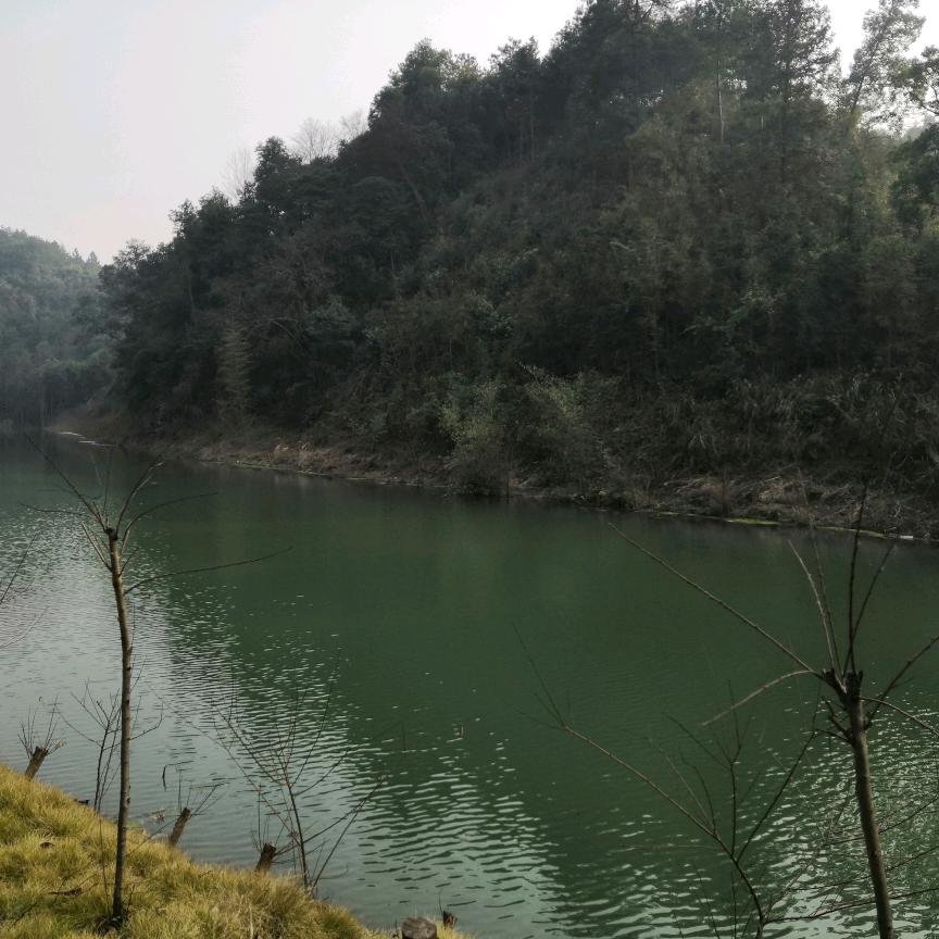湘湘