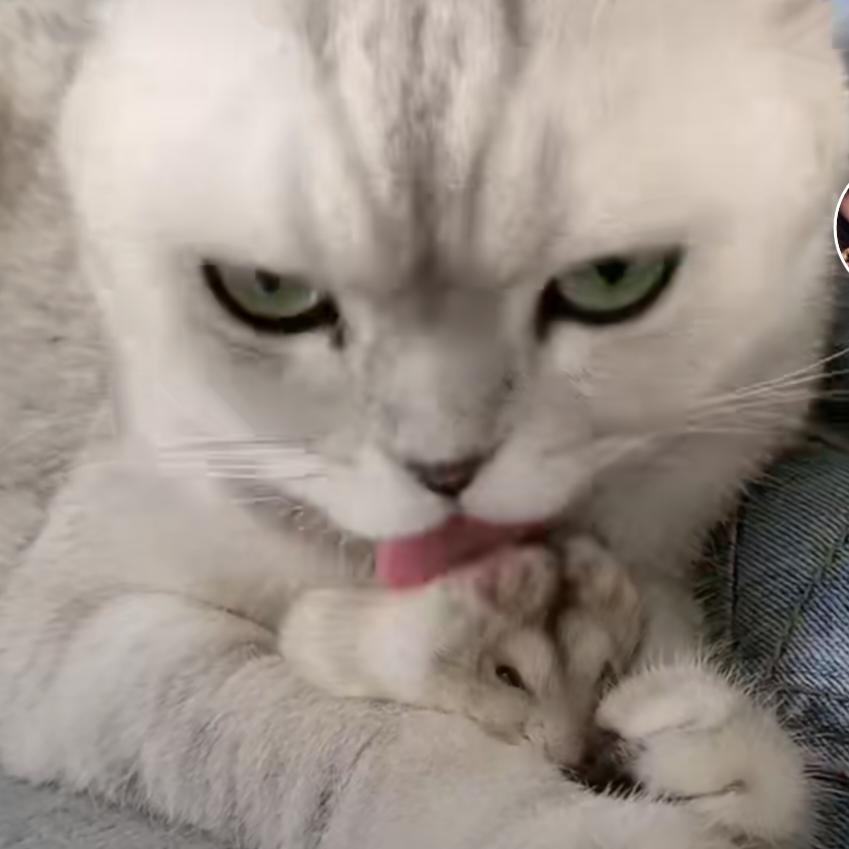 慎独l