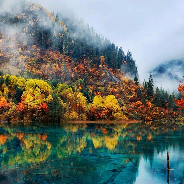 五常特色优品店