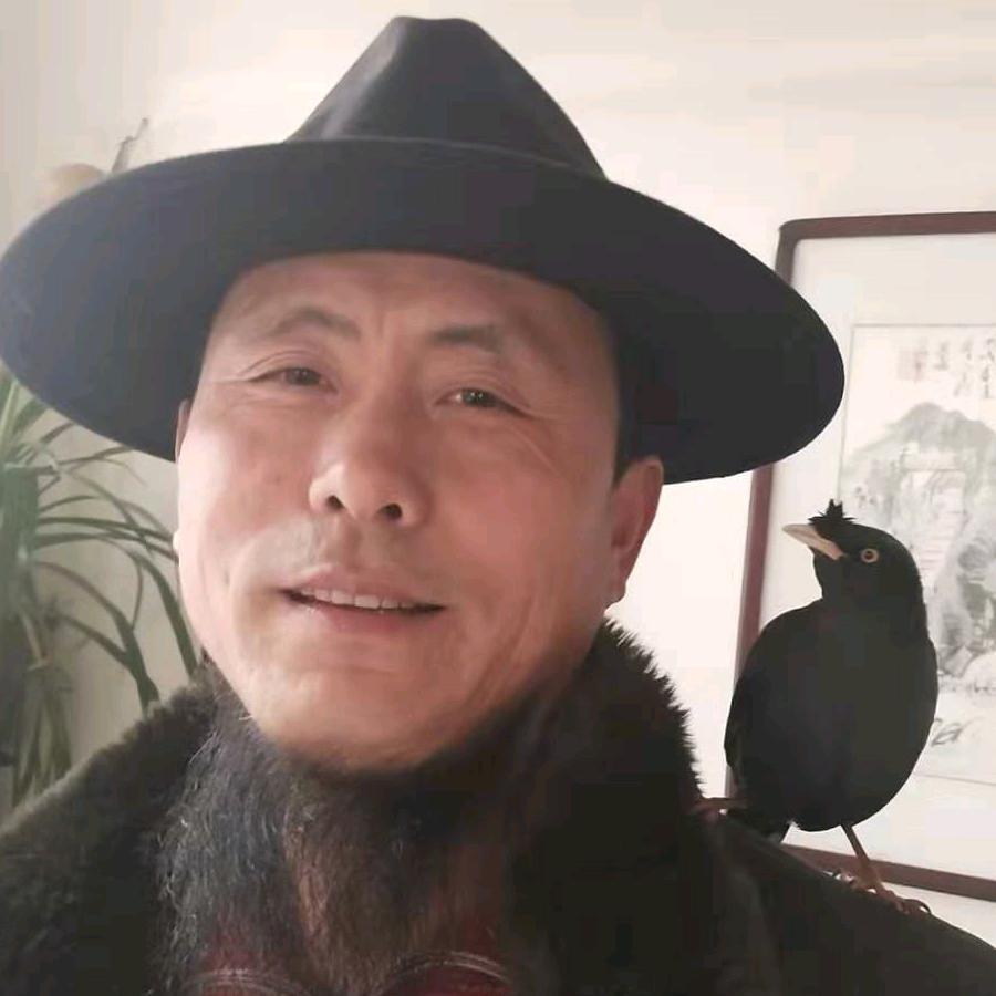 行走阴阳师