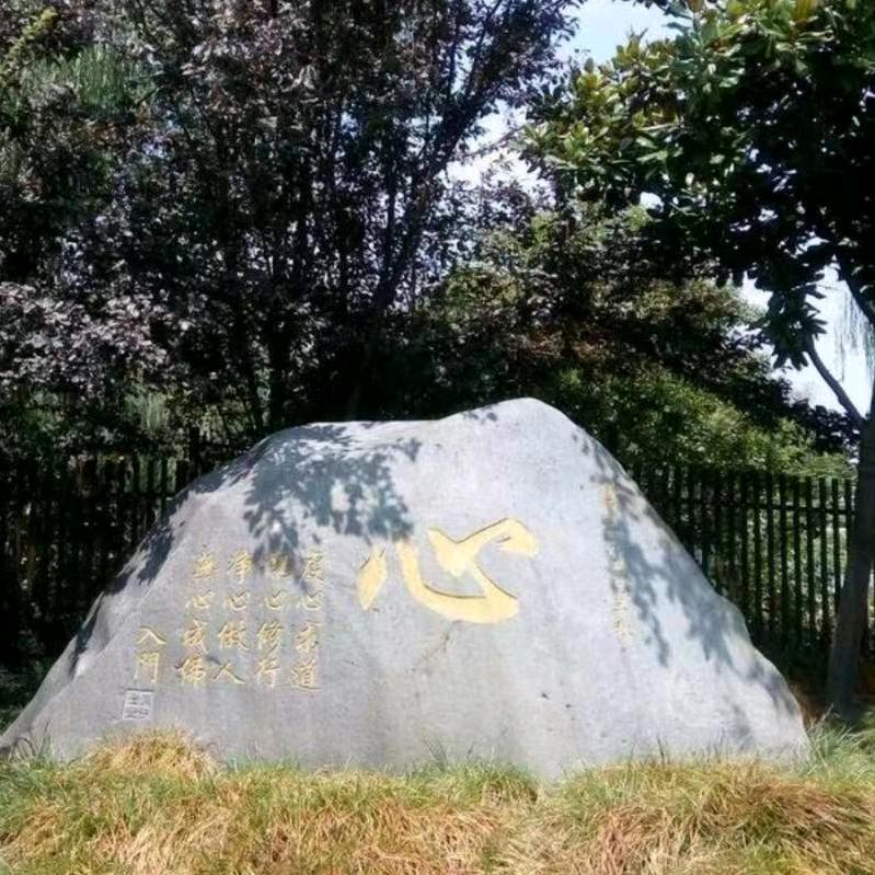 宁不忘本（大佬罗）