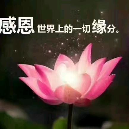 顺其自然。