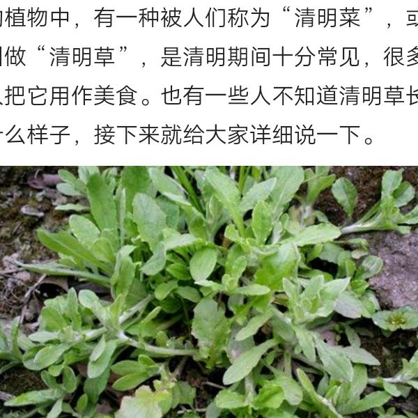 帅员兰