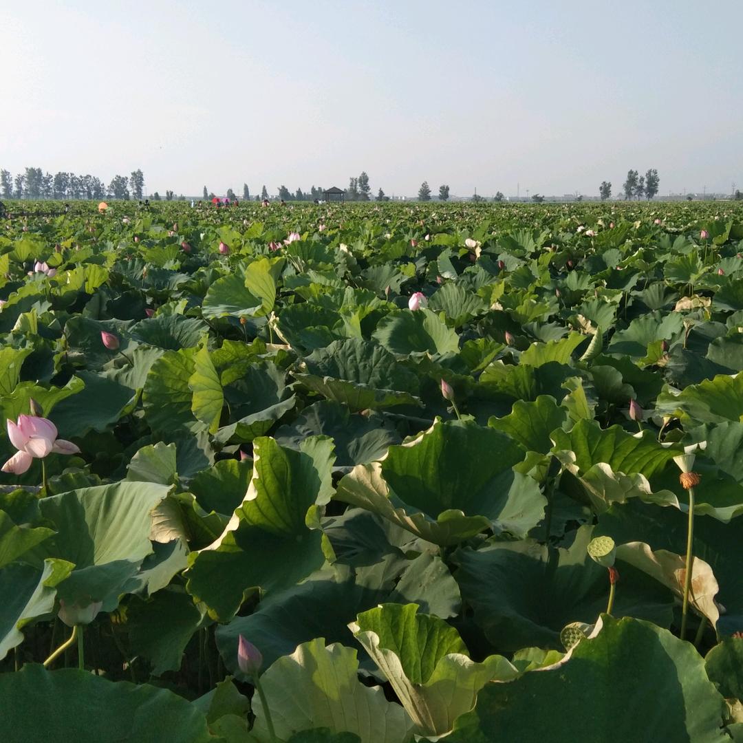 手机用户86546099014。艳