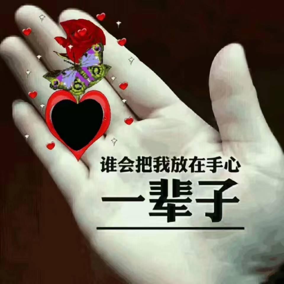 我是一只$$快乐的小鸭子 @