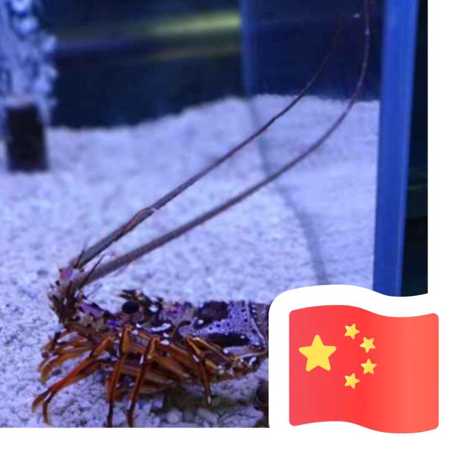 白天渲染不了夜的黑