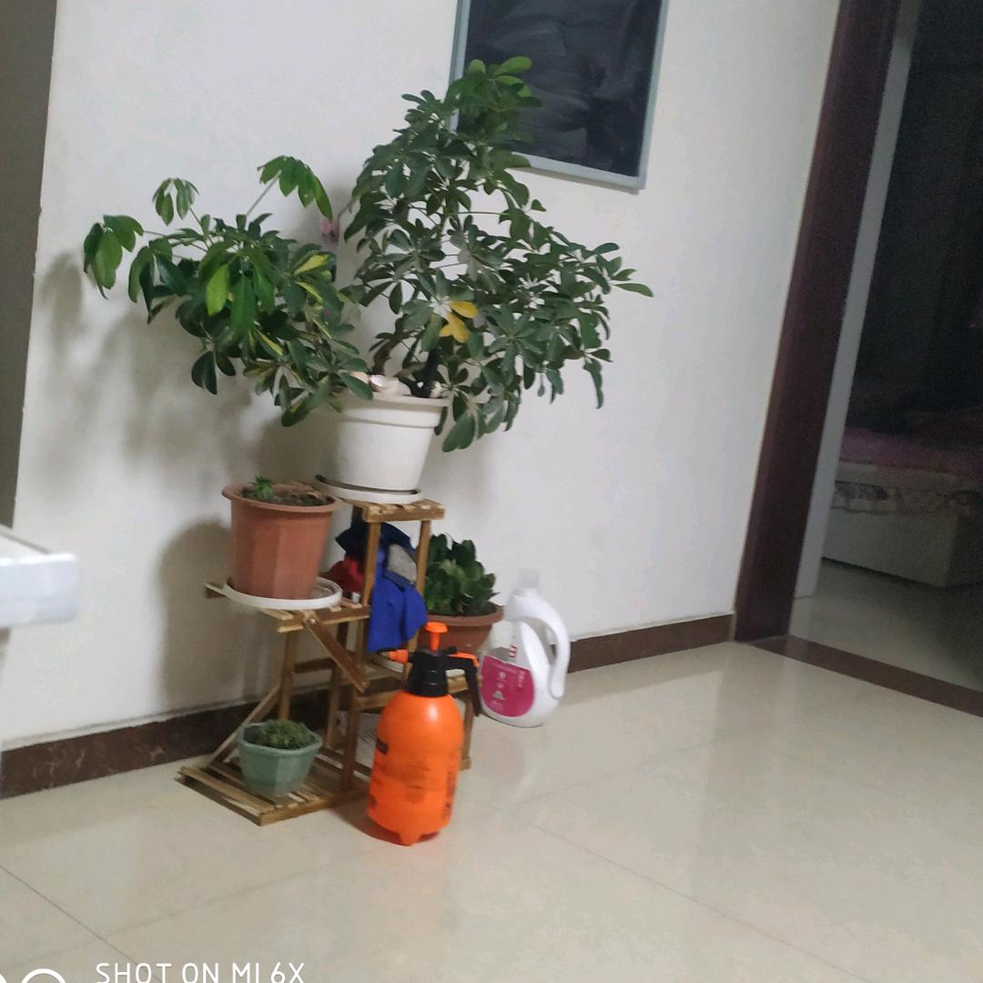 飞凡小葫芦
