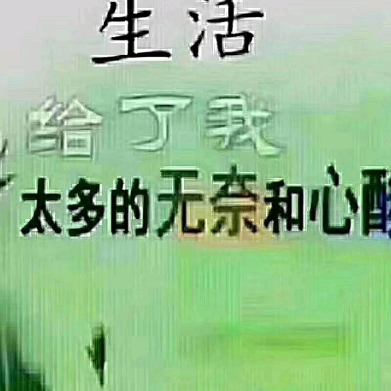 赵歌