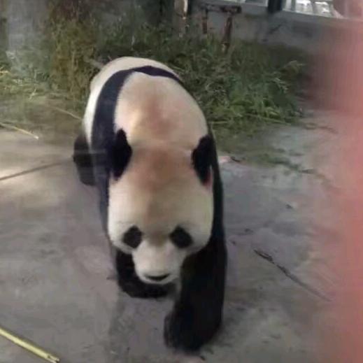 平安是福