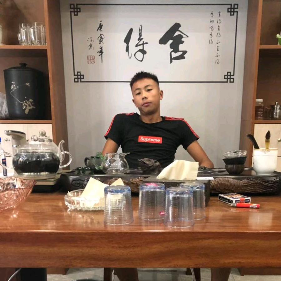 龙