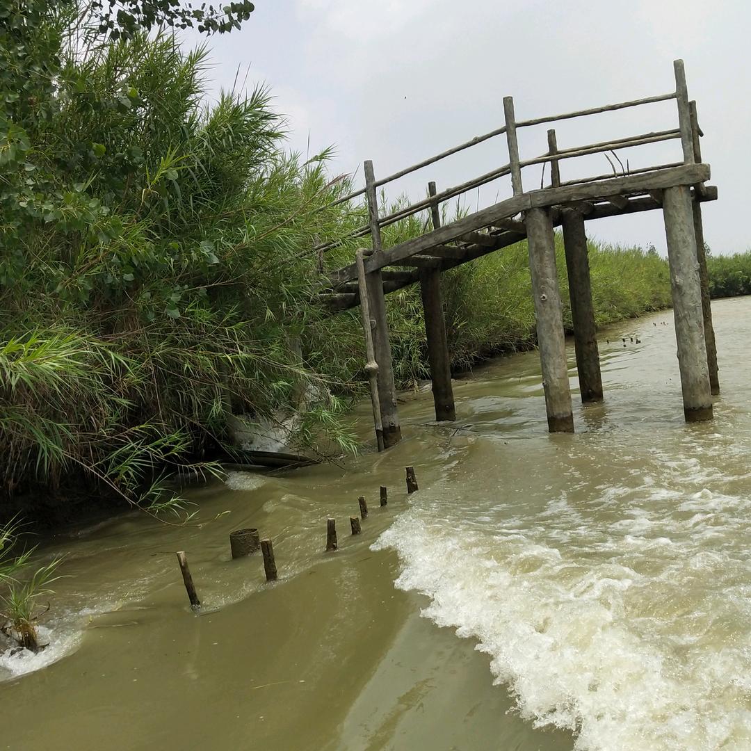 莒县钱大姐保洁