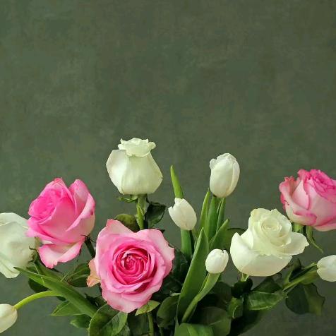 安溪铁观音茶叶